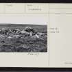 Auskerry, HY61NE 1, Ordnance Survey index card, Recto