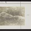 Lewis, Glen Shader, 'Grugach', NB35SE 12, Ordnance Survey index card, Recto