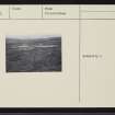 On-line Digital Images
