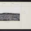On-line Digital Images