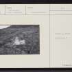 On-line Digital Images