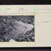 On-line Digital Images