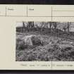 Clach An Tuirg, Fearnan, NN74SW 13, Ordnance Survey index card, page number 3, Recto