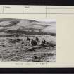 On-line Digital Images