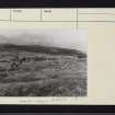 On-line Digital Images