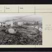 On-line Digital Images