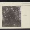 Islay, Branhunisary, NR34NE 21, Ordnance Survey index card, page number 2, Recto