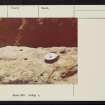 On-line Digital Images