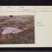 On-line Digital Images