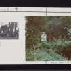 Brigend Castle, NS31NW 13, Ordnance Survey index card, Recto