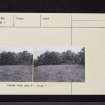 On-line Digital Images
