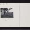 Cadzow Castle, Park Pale, NS75SW 3, Ordnance Survey index card, Recto