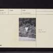 Altar Stone, NT13NE 12, Ordnance Survey index card, Recto