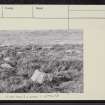 Burgh Hill, NT40NE 17, Ordnance Survey index card, page number 6, Verso