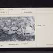 Ardwall Island, Chapel And Burial-Ground, NX54NE 6, Ordnance Survey index card, page number 3, Recto