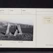 Standing Stones Of Newton, NX55SE 1, Ordnance Survey index card, Recto