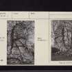 Barclosh Castle, NX86SE 1, Ordnance Survey index card, page number 1, Recto