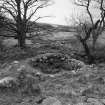 View of southern farmstead from north; detail of corn-drying kiln bowl.