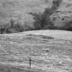 View of hut near farmstead.