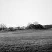 Auldton motte: general view from E.