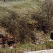 General view of caves, looking across sheep-pens from S.