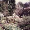 View of herbaceous border to S of house.