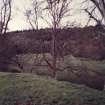 General view of parkland near monument to Lord Dunglass.