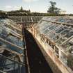 N greenhouses, detail