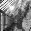 Interior. View of greenhouse in walled garden from ENE