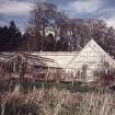 General view of glasshouses.