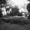 General view of vault obscured by overgrowth.