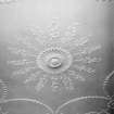 Interior, detail of drawing room ceiling