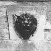 Detail of lions head moulding.