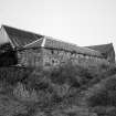 View of cattle shed with water trough in foreground.