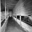 Interior.
View of feed passage in cattle court.