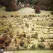 Traquair House, garden
View of maze as seen from house