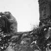 Traquair House, garden
Detail of carved stone bears on South terrace wall