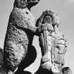Detail of stone bear.