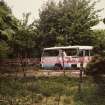 View of derelict bus and remnant planting.