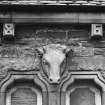 Detail of carved bull's head.