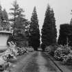 View of avenue in garden.