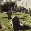 General view of burial ground from SE.