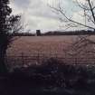 View from gardens to windmill.