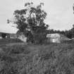 General view of steadings from ESE