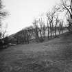 Purvis Hill cultivation terraces.