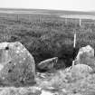 Borrowston Rig South, cairn: Ordnance Survey ground photograph of cup-marked stone
