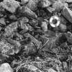 Harefaulds, settlement and cultivation remains: Ordnance Survey ground photograph, apparently of interior feature.
