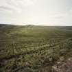 View of archaeological landscape.