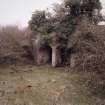 Blackwoodridge quarries. View of kiln-bank (NY 2454 7617) from SW.