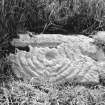 Park of Tongland.
Cup and ring marked stone.